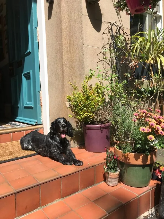 Albyn Townhouse Hotel Edinburgh Guest house
